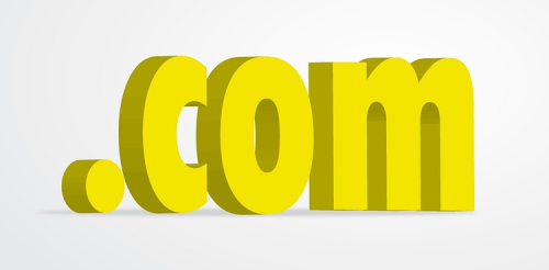 Premium Domain Auction: tedvoice.com